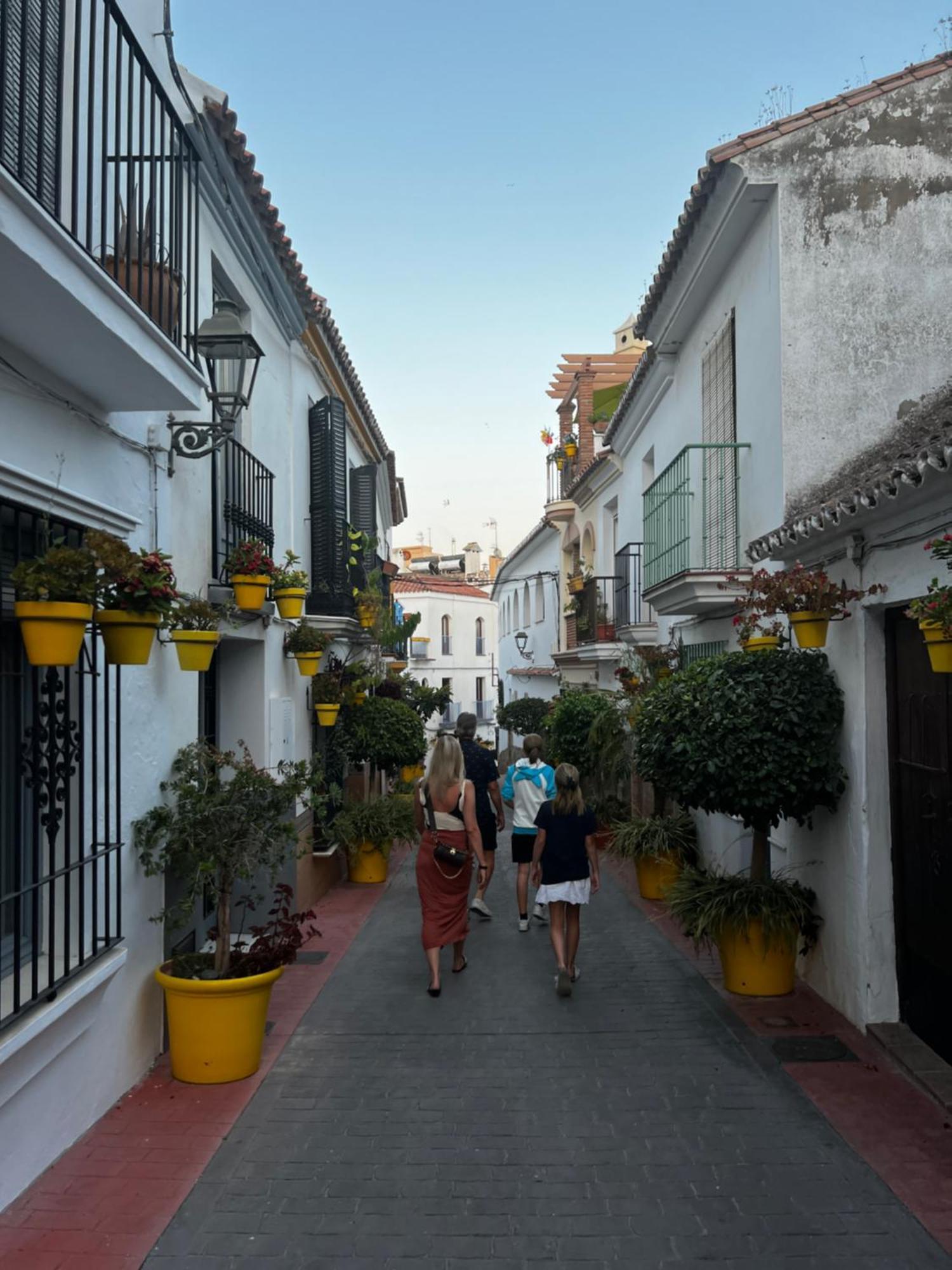Playa Cristo Amazing Beach Terrace Appartment Estepona Exteriör bild